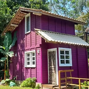 Violeta Aquarela Casa de Férias